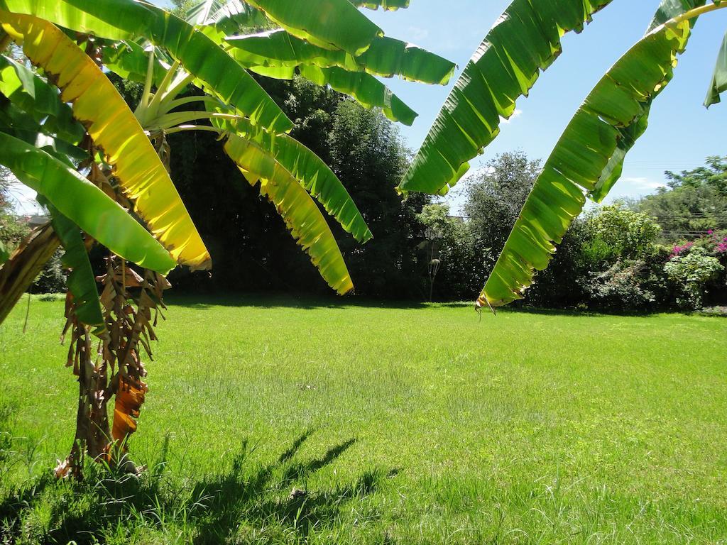 El Molino Hotel Boutique Río Verde Zewnętrze zdjęcie